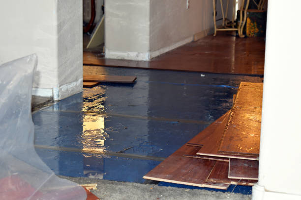 Professional Water Extraction technician working in Mount Cory, OH